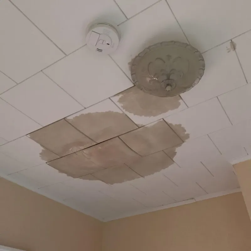Ceiling Water Damage Repair in Hardeman County, TN