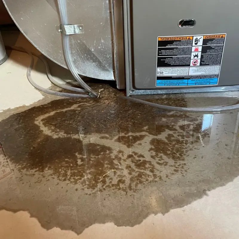 Pipe Burst and Leak Restoration in Hardeman County, TN