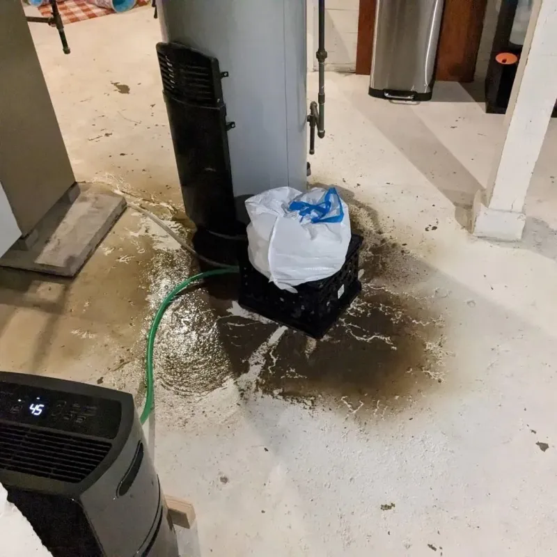 Sewage Backup Cleanup Service in Hardeman County, TN